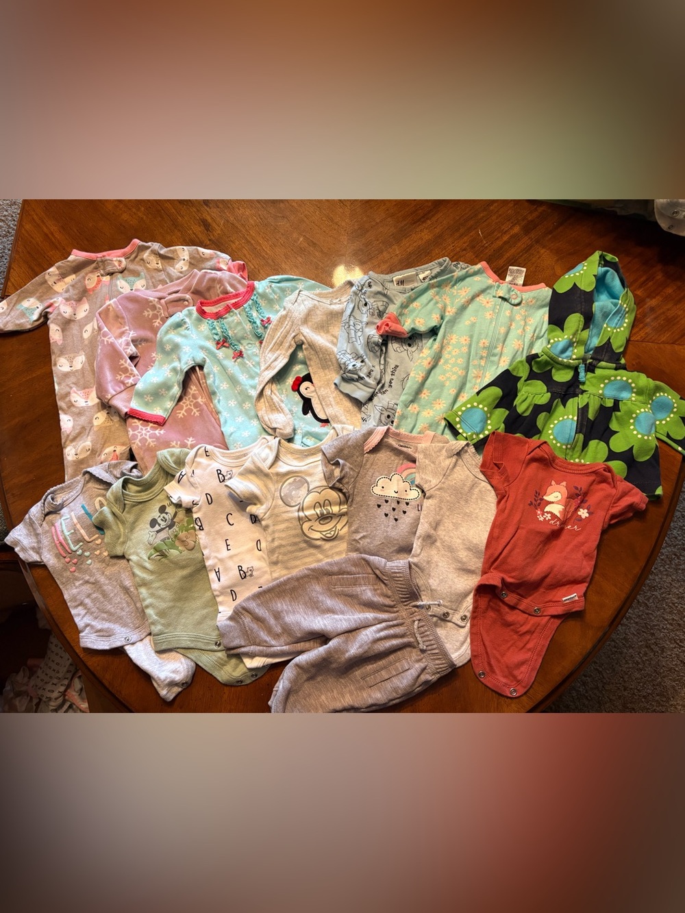 Newborn Girl Clothing Bundle